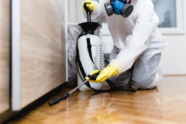Best Bed Bug Extermination  in Country Club Hills, MO