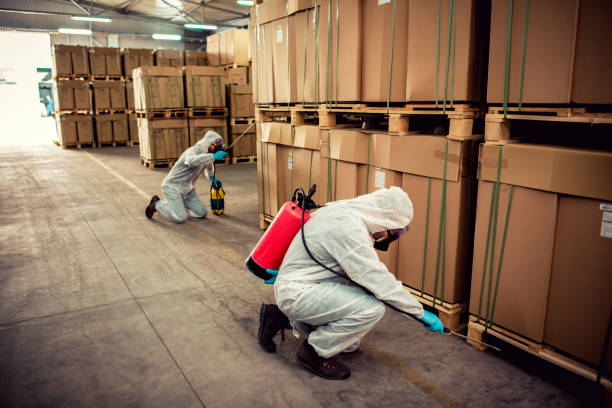 Pest Control Cost in Country Club Hills, MO
