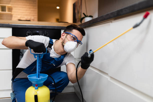 Best Cockroach Control Services  in Country Club Hills, MO