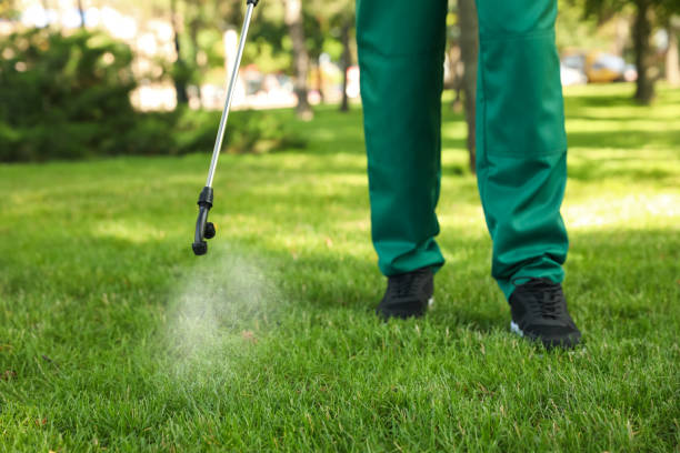 Best Affordable Pest Control Services  in Country Club Hills, MO