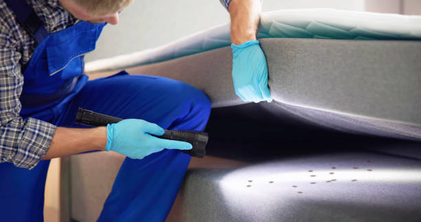Best Emergency Pest Control  in Country Club Hills, MO