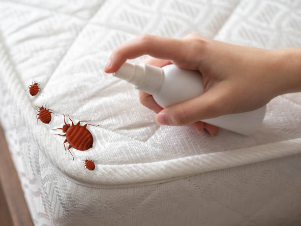  Country Club Hills, MO Pest Control Pros