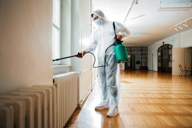 Best Best Pest Control Companies  in Country Club Hills, MO