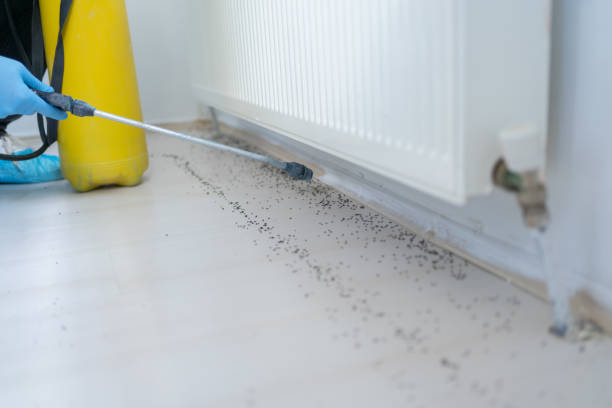 Best Residential Pest Control  in Country Club Hills, MO