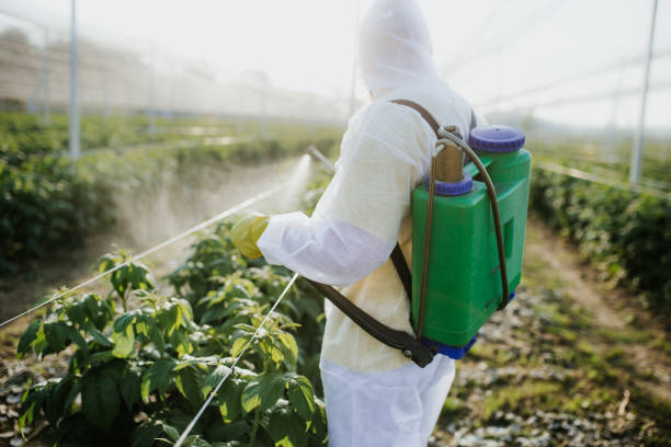 Best Pest Control Near Me in Country Club Hills, MO